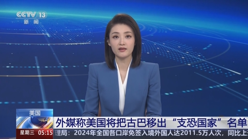 马来西亚羽